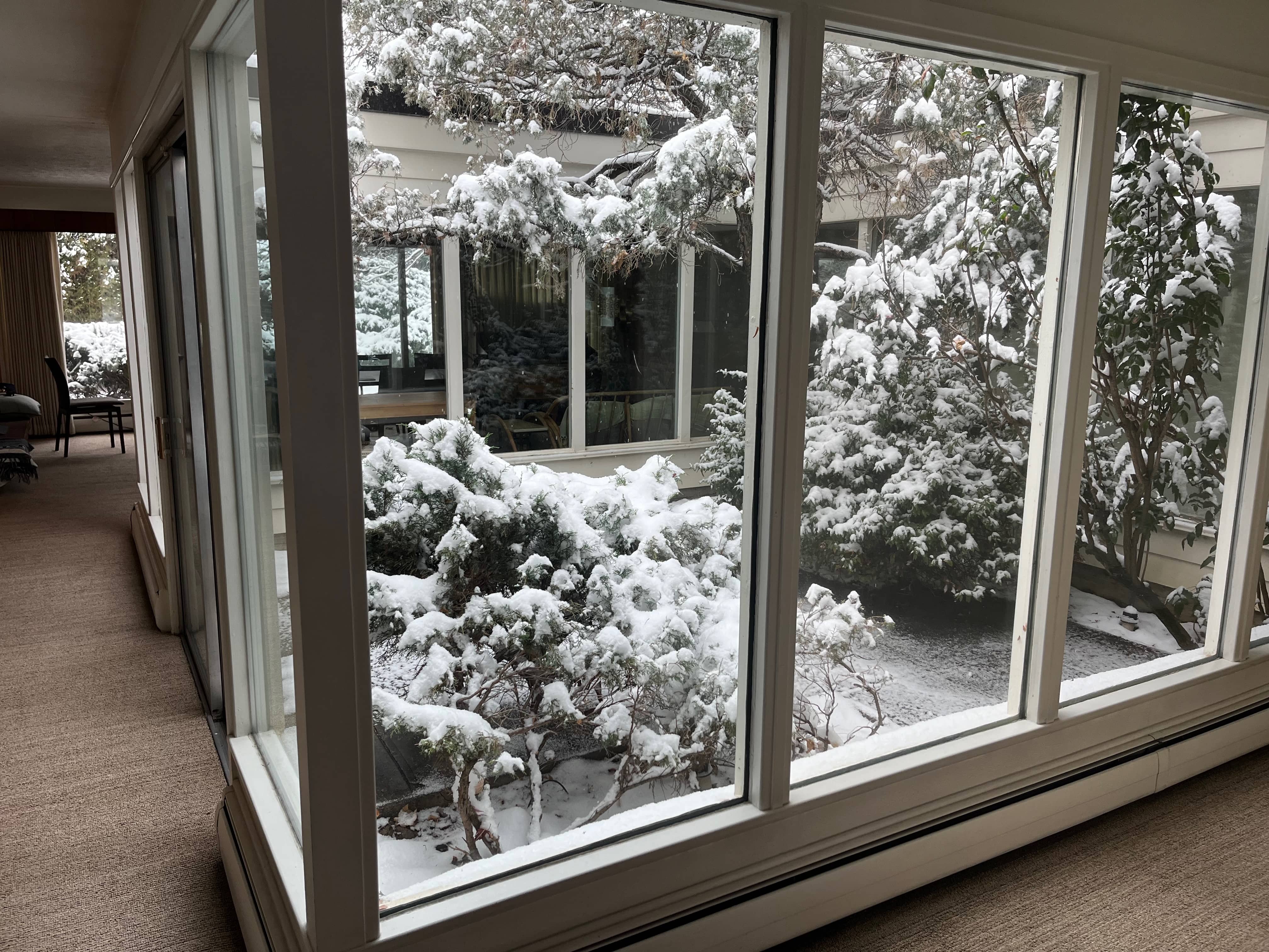 Square Donut photo 5